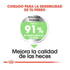 Royal Canin Digestive Care Medium pienso para perros, , large image number null